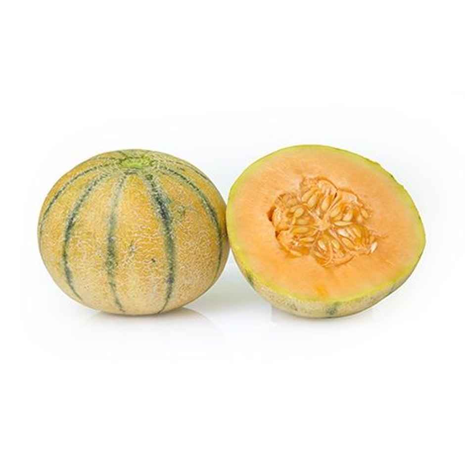 Musk Melon Premium